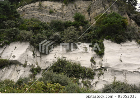 大唐倉庫 大唐倉庫 95052033