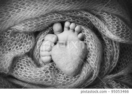 Feet of a newborn close-up in a woolen blanket. Pregnancy, motherhood, preparation and expectation of motherhood, the concept of the birth of a child. Black and white photography.  95053466