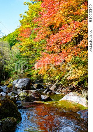 Yokoya Valley (Autumn) 95053549
