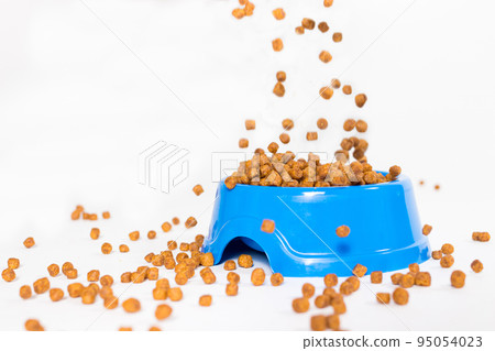 Dry food for kittens and cats pours into a blue plate. on white with space for text. Balanced food, shop for animals 95054023