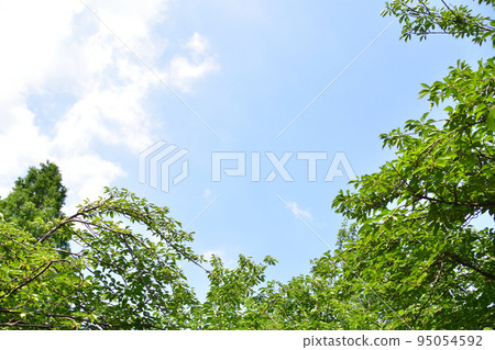 天空,雲彩和綠色 天空,雲彩和綠色 95054592
