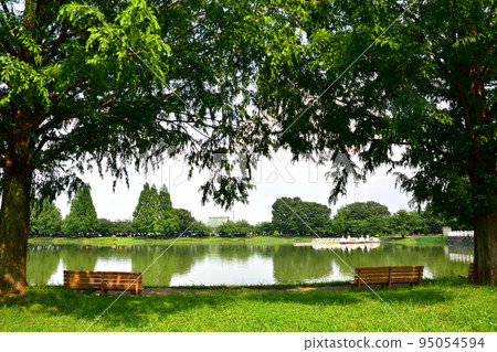 water park bench 95054594