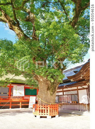Usa Shrine 95054616