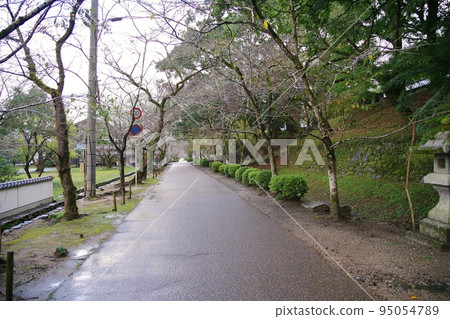 秋月城遺址 秋月城遺址 95054789