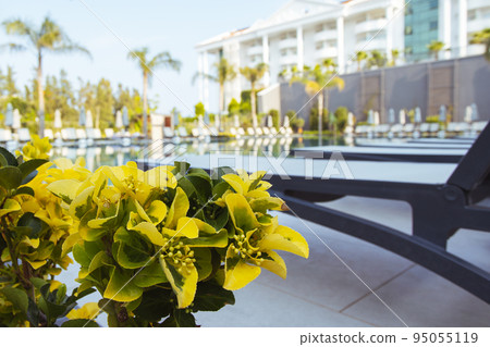 Beautiful luxury umbrella and chair around outdoor swimming pool in hotel and resort with coconut palm tree on blue sky Beautiful luxury umbrella and chair around outdoor swimming pool in hotel and resort with coconut palm tree on blue sky 95055119