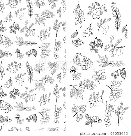 Set of wild and cultivated berries and seamless pattern 95055633