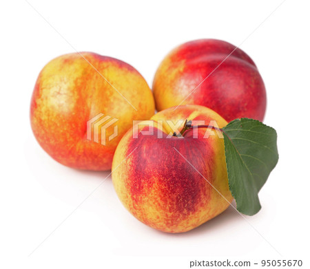fresh nectarines with leaves isolated on white background 95055670