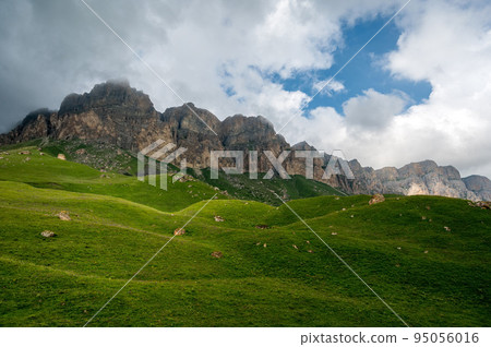 Beautiful summer landscape of green meadow in mountains 95056016
