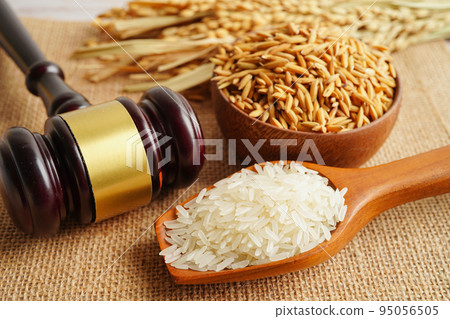 Judge gavel hammer with good grain rice from agriculture farm. Law and justice court concept. 95056505