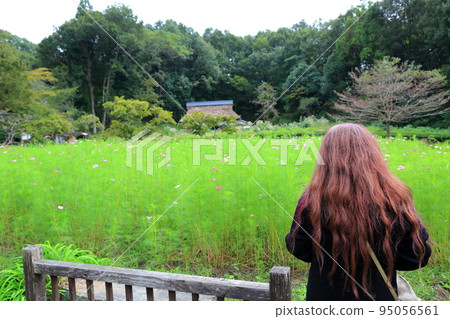 漫步岐阜青龍里山公園60（岐阜縣美濃市） 95056561