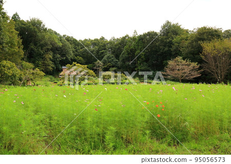漫步岐阜青龍里山公園72(岐阜縣美濃市) 漫步岐阜青龍里山公園72(岐阜縣美濃市) 95056573