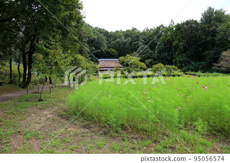 漫步岐阜青龍里山公園73（岐阜縣美濃市） 95056574