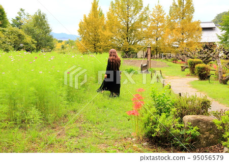 Strolling through Gifu Seiryu Satoyama Park 78 (Minokamo City, Gifu Prefecture) 95056579