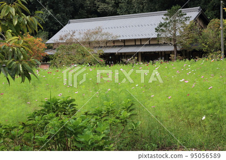漫步岐阜青龍里山公園88（岐阜縣美濃市） 95056589