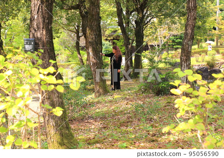 漫步岐阜青龍里山公園89（岐阜縣美濃市） 95056590