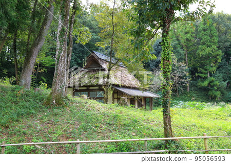 Walking around Gifu Seiryu Satoyama Park 92 (Minokamo City, Gifu Prefecture) 95056593