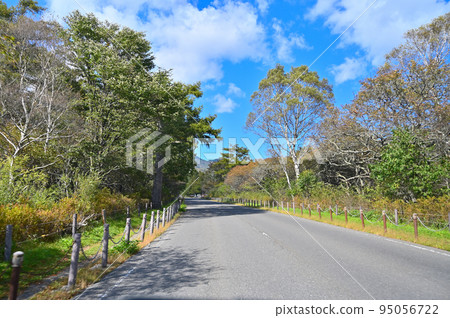 Senjogahara: In-car photography while driving Nikko City, Tochigi Prefecture 95056722