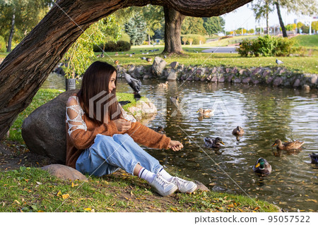 A girl feeds ducks on the shore of a pond 95057522