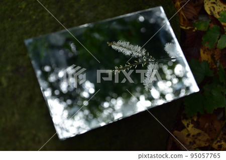 News from autumn 95057765