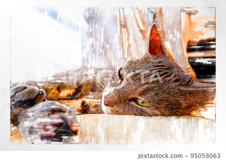 素描 風格 貓 貓 貓 kijitora 灰色 女 女 母貓 母貓 健康 漂亮 癒合 95058063