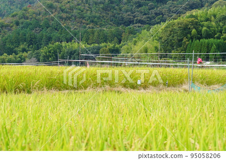 Scenery of Sagano in Kyoto 95058206
