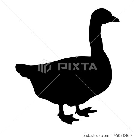 Black goose silhouette isolated on white background. 95058460