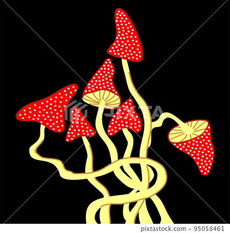 Fly agaric on black background. Bright decorative mushrooms. Fly agaric on black background. Bright decorative mushrooms. 95058461