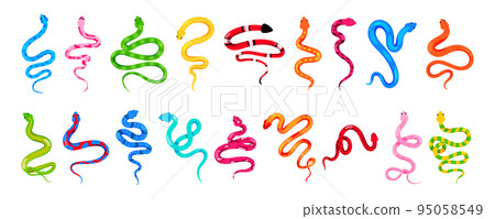 Snake animals. Colorful serpents. Isolated nature patterns. Floral tropical skin tattoo elements. Magic wildlife reptiles. Poisonous dangerous predators. Viper or python. Vector cartoon design zoo set Snake animals. Colorful serpents. Isolated nature patterns. Floral tropical skin tattoo elements. Magic wildlife reptiles. Poisonous dangerous predators. Viper or python. Vector cartoon design zoo set 95058549