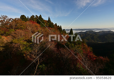 塔基山秋葉 95058620