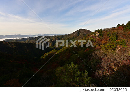 塔基山秋葉 95058623