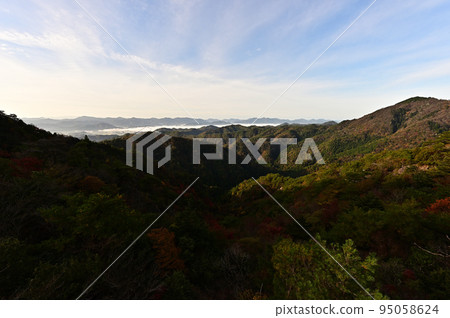 塔基山秋葉 塔基山秋葉 95058624