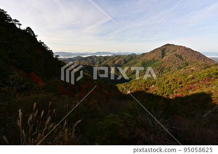 塔基山秋葉 95058625
