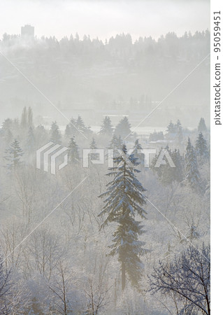 Winter time landscape. Fraser river view in British Columbia, Canada Winter time landscape. Fraser river view in British Columbia, Canada 95059451