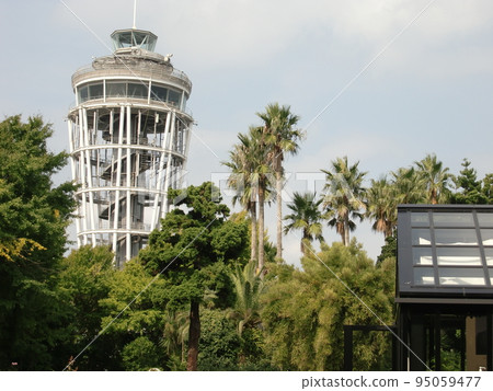 Sky and clouds 95059477