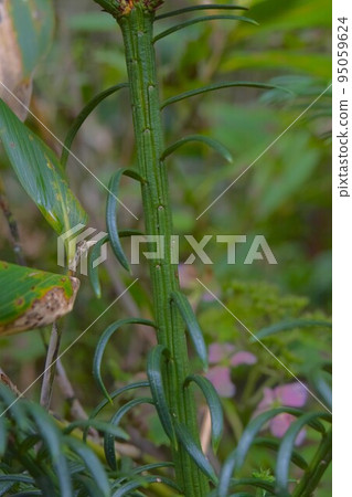 犬谷分店 犬谷分店 95059624