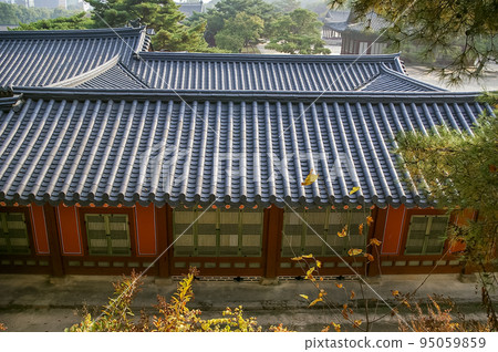 昌慶宮郊遊 95059859