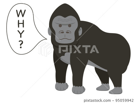 Gorilla WHY? 95059942