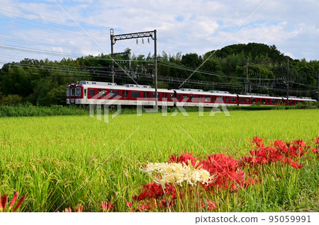 近鐵列車穿過秋天的鄉村 95059991
