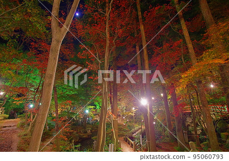 Shoun Sanso 秋葉燈飾 95060793