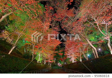 Shoun Sanso Autumn Leaves Illumination Shoun Sanso Autumn Leaves Illumination 95060818