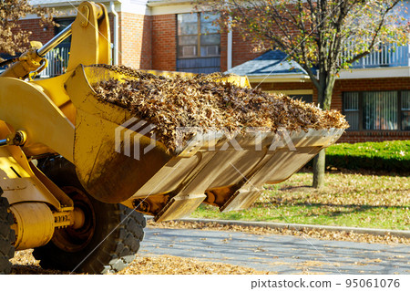 In the autumn, municipal workers use excavators and trucks to remove fallen leaves from near houses, using the excavator In the autumn, municipal workers use excavators and trucks to remove fallen leaves from near houses, using the excavator 95061076