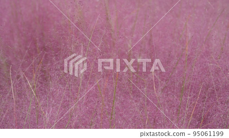 Pink mull Pink mull 95061199