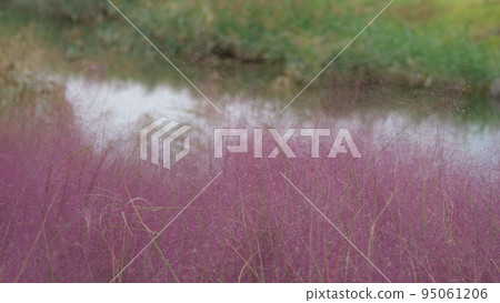 Pink mull Pink mull 95061206