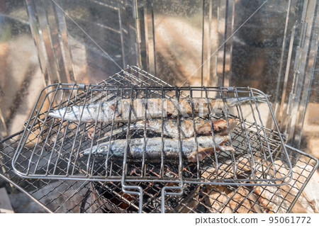 [Car camping on the riverbed of Nakatsu River, salt-grilled raw saury using embers] 95061772