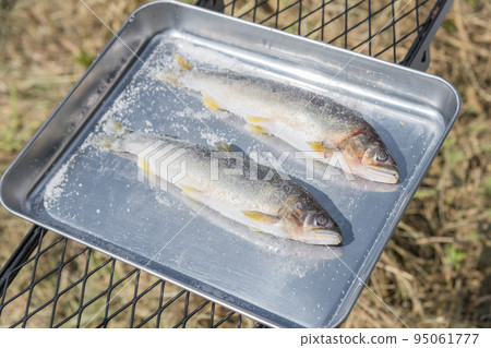 [Car camping on the riverbed of Nakatsugawa, making salt-grilled sweetfish] 95061777