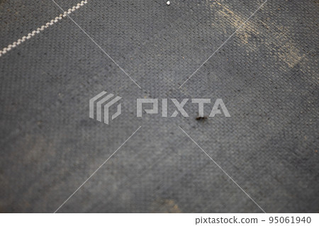A woven fabric sheet like a leisure sheet on the ground of the blueberry field in the city (Nerima Ward, Tokyo) A woven fabric sheet like a leisure sheet on the ground of the blueberry field in the city (Nerima Ward, Tokyo) 95061940