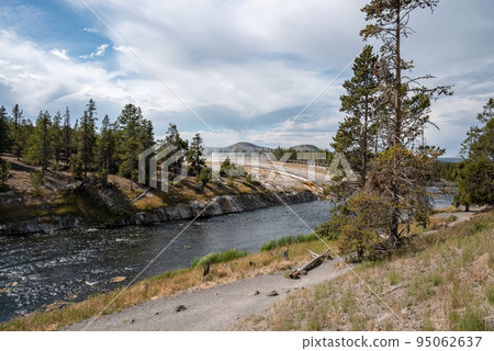 Trees growing by Firehole River in Midway Geyser Basin. Water flowing by geothermal landscape at Yellowstone national park. Famous tourist attraction with cloudy sky in background. Trees growing by Firehole River in Midway Geyser Basin. Water flowing by geothermal landscape at Yellowstone national park. Famous tourist attraction with cloudy sky in background. 95062637