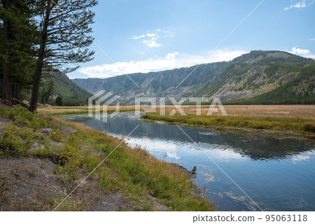 Scenic view of creek flowing by trees and mountain. Beautiful natural scenery at Yellowstone national park. Tranquil viewpoint in idyllic valley at famous tourist attraction. 95063118