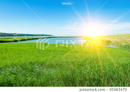 Estuary lake, reeds and sun. 95063470