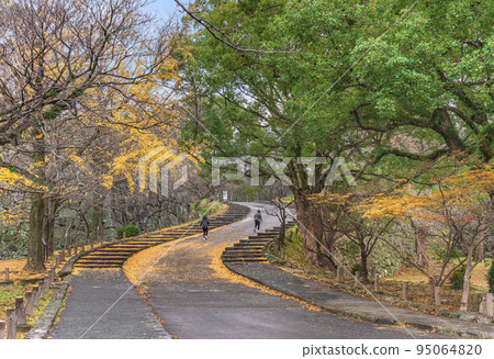 [九州/福岡] 通往福岡城遺址小組矢倉遺址的松木坂在秋天染成黃色。 95064820